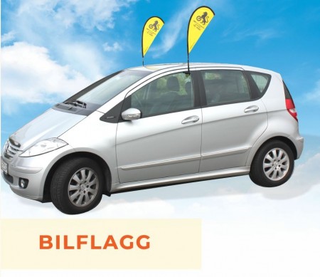 Bilflagg - 10 sett 